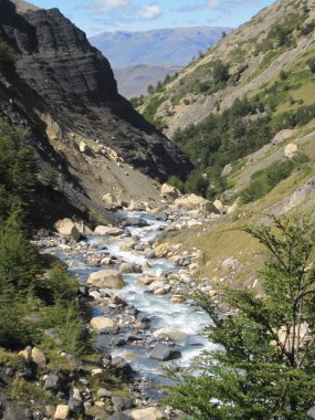 milli park torres del paine Şili