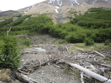 Torres Del Paine.