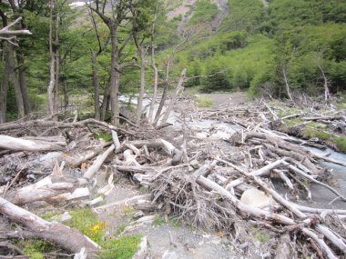 milli park torres del paine Şili