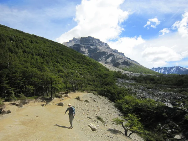 Torres Del Paine Przewodniczący — Zdjęcie stockowe