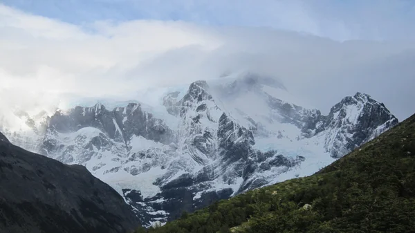 Nemzeti Park Torres Del Paine Chile — Stock Fotó