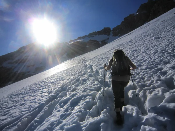알 가루 산 겨울 — 스톡 사진