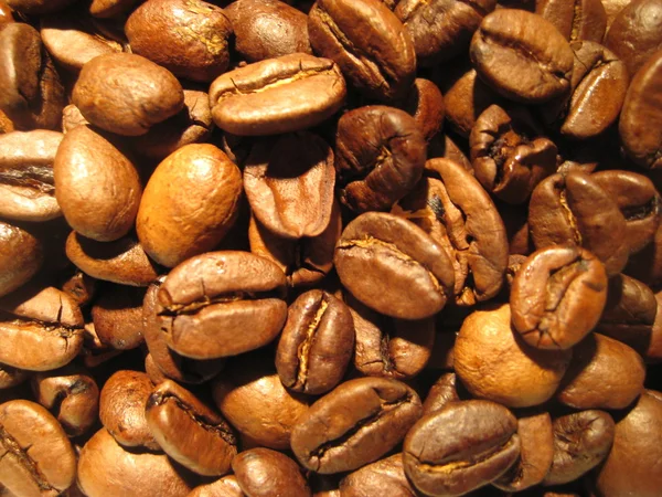 新鮮なコーヒー豆 ストック画像