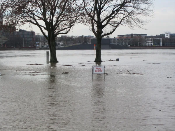 Hochwasser in Köln — Stock Photo, Image