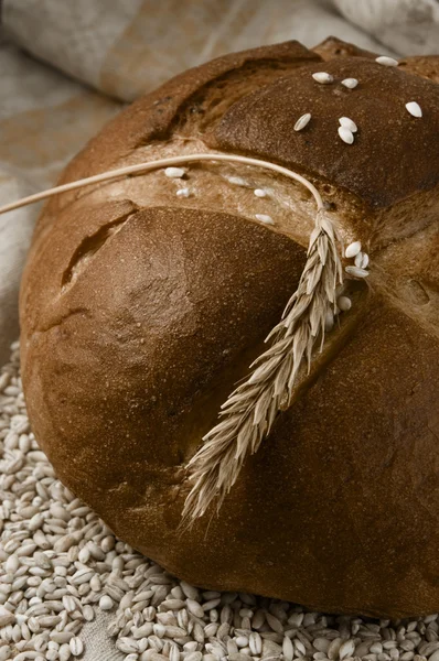 Brood Met Spikelet Graan — Stockfoto