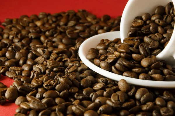 White cup with coffee beans on red background — Stock Photo, Image