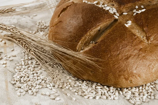 Rouleau de pain avec épillets et grains — Photo