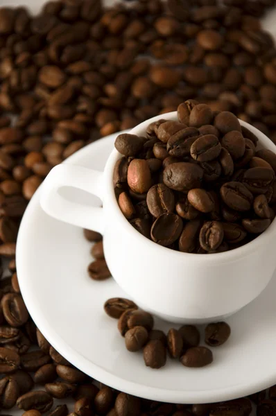 White cup with coffee beans — Stock Photo, Image