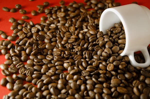 Copo branco com grãos de café no fundo vermelho — Fotografia de Stock
