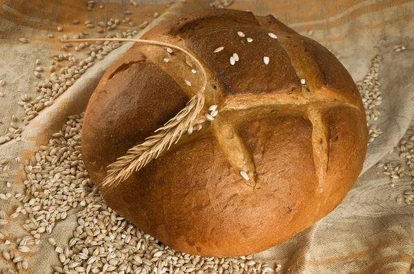 Brood met spikelet en graan — Stockfoto