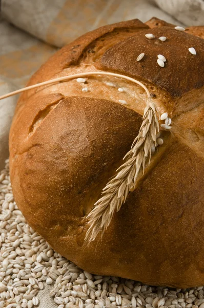 Brood met spikelet en graan — Stockfoto