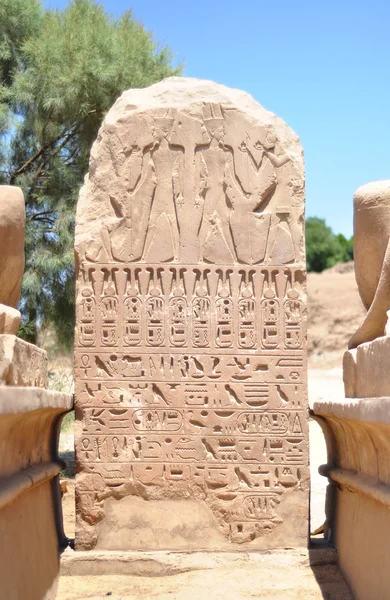 Egypten hieroglyfer Royaltyfria Stockbilder