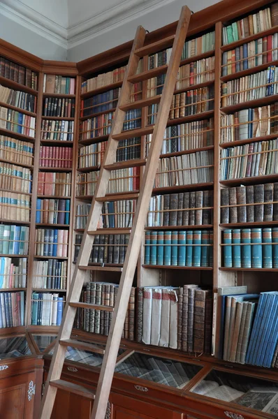 Старая библиотека Стоковое Фото