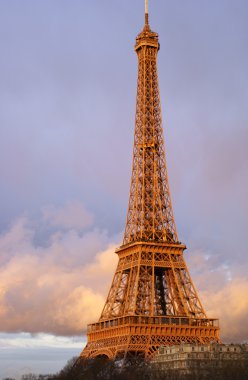 The Eiffel tower in Paris, France clipart