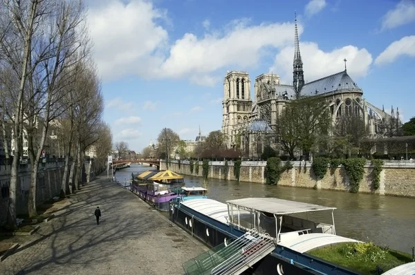 View Seine Notre Dame Background House Boats Front — Stock Photo, Image