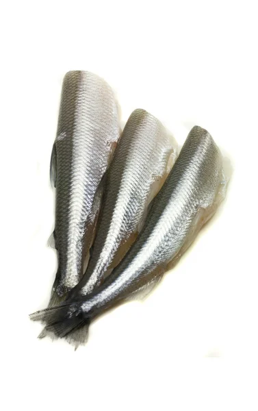 Freh Мелкая Рыба Головы Белом Фоне — стоковое фото