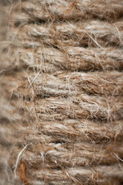 stock image The strong cord from material hemp