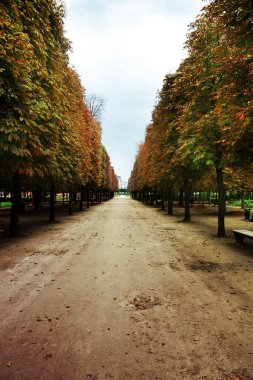 Kış boyunca üzerinde park