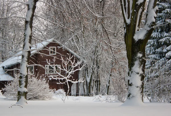 stock image The snowy house