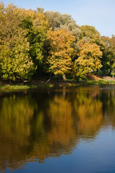 都市公園における秋の穏やかな湖 — ストック写真