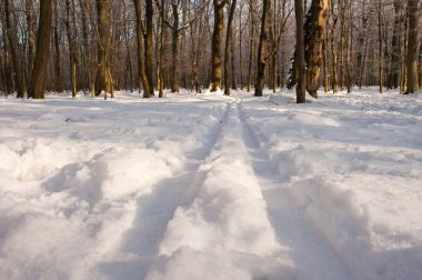 Traces of skis on white winter snow clipart