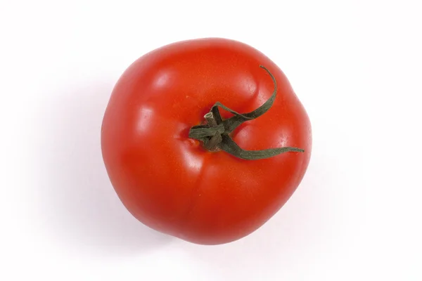 Tomaat op een witte achtergrond — Stockfoto