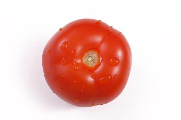 Tomato White Background — Stock Photo, Image