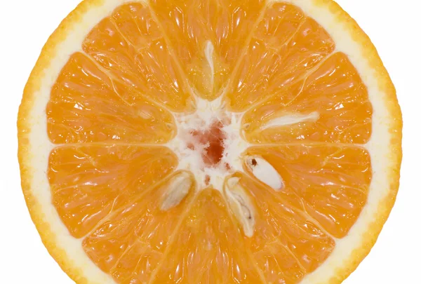 Oranje Close Witte Achtergrond — Stockfoto