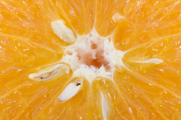 Oranžový Detail — Stock fotografie