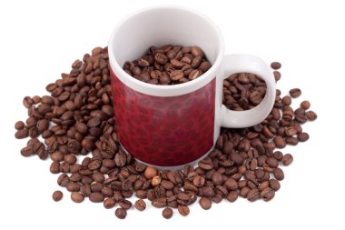 bir kupa kahve çekirdekleri