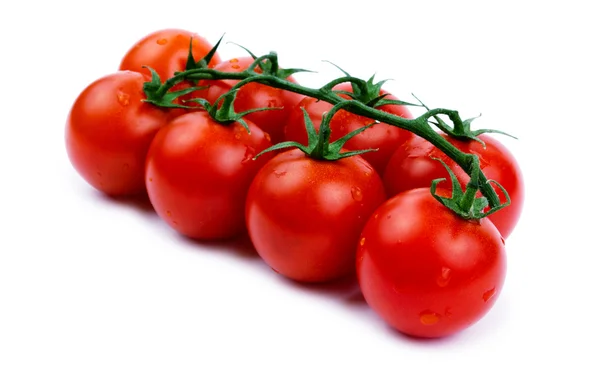 Tomates Cerise Sur Une Branche Verte Isolée Sur Fond Blanc — Photo