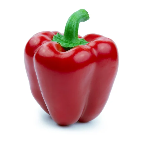 Paprica rossa (pepe) isolata su fondo bianco — Foto Stock