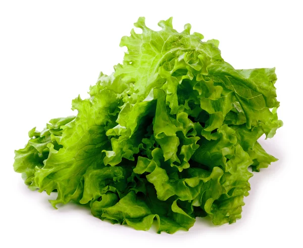 Bush van verse bladeren van groene salade geïsoleerd op een witte achtergrond — Stockfoto