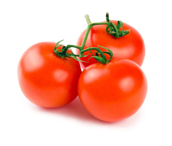 Drei Tomaten Mit Einem Grünen Zweig Isoliert Auf Weißem Hintergrund — Stockfoto