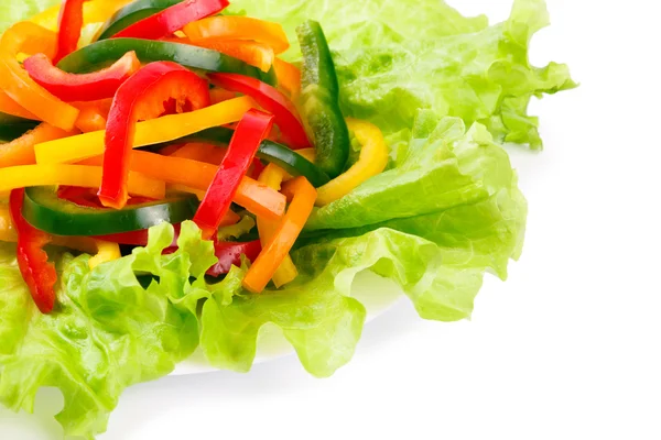 Mix van verse groenten uit een gekleurde paprika op bladeren van groene salade — Stockfoto