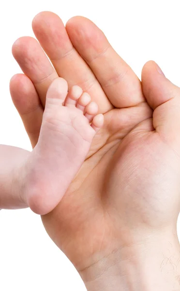 Small leg of the newborn baby girl in the big hand of the father, isolated — Stock Photo, Image