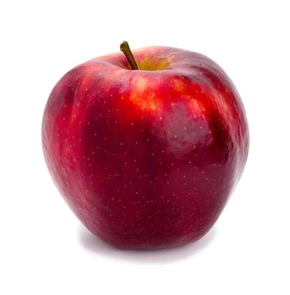 Ripe and juicy red apple a shank upwards isolated on a white background — Stock Photo, Image