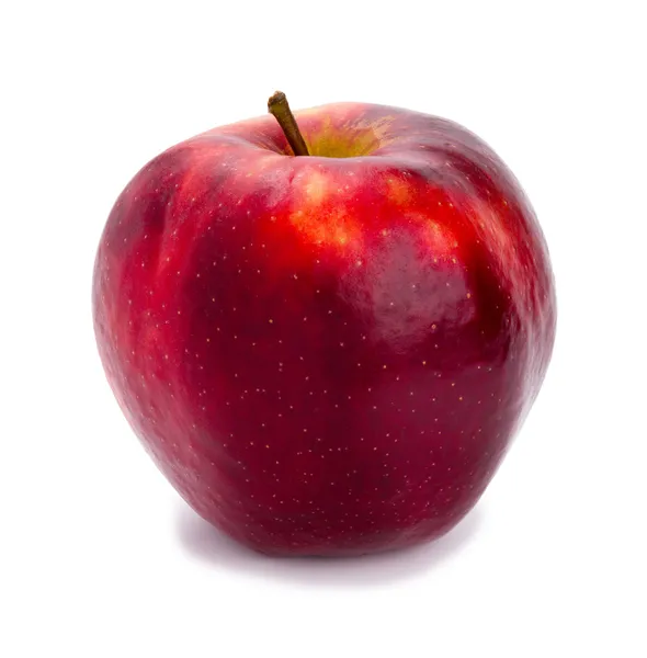 Mogen och saftigt rött äpple en shank uppåt isolerad på en vit bakgrund Royaltyfria Stockfoton