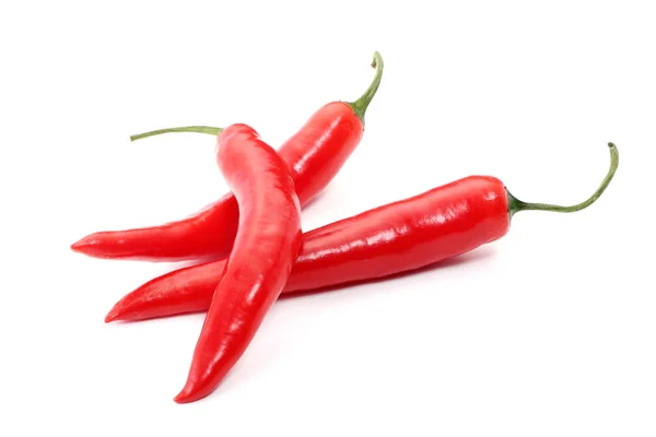 Röd varm chilipeppar på vitt. — Stockfoto