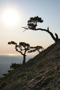 Sunrise Kırım