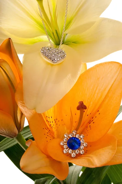 Lilien Blühen Mit Kette Herz Und Blauem Ohrring — Stockfoto