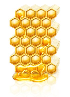 Bee honeycombs clipart