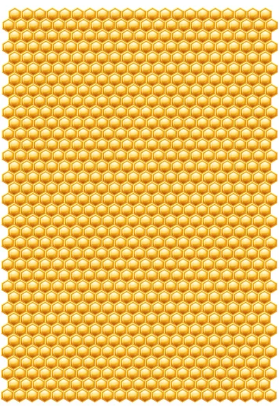 Bee honungskakor mönster — Stockfoto