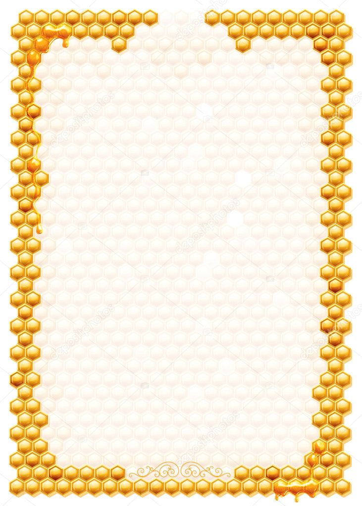 Frame with bee honeycombs isolated on a white background