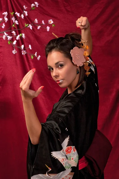 Japanse Meisje Traditionele Kleding Poseren Voor Camera — Stockfoto