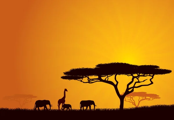 Fundo Vida Selvagem Africana Natureza Background Series — Vetor de Stock