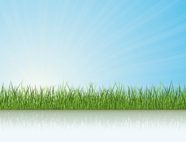 Green Grass Under The Sunlight. Nature Vector Collection. clipart