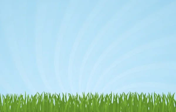 Grünes Gras Und Blauer Himmel Vektor Hintergrund — Stockvektor