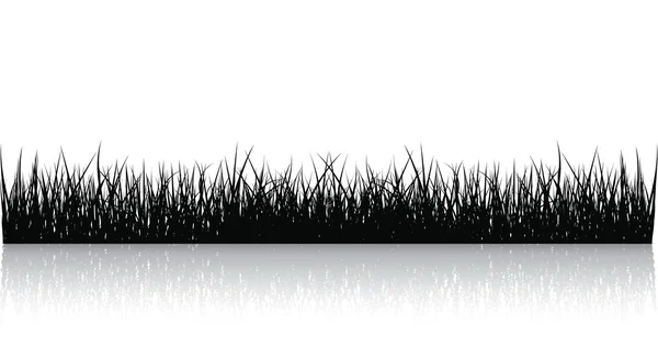 Zwarte Vector Gras Geïsoleerd Wit — Stockvector