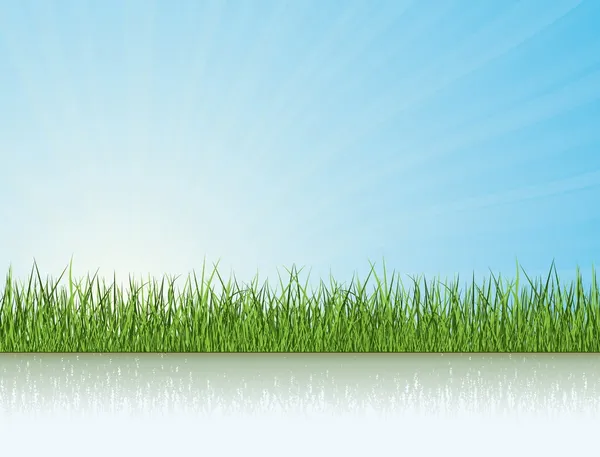 阳光下的绿草 性质矢量集合 — 图库矢量图片